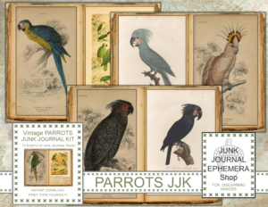 Vintage Parrots Junk Journal Kit