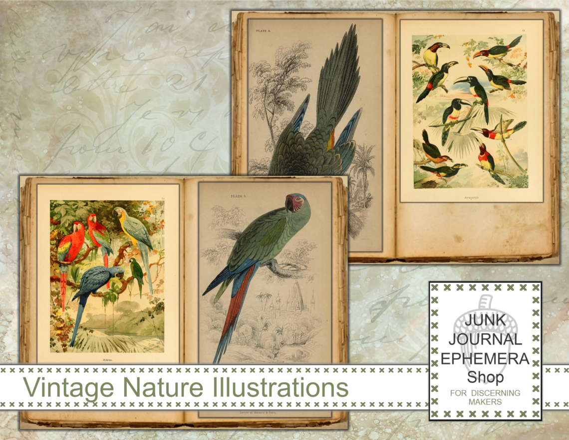 Vintage Parrots Junk Journal Kit