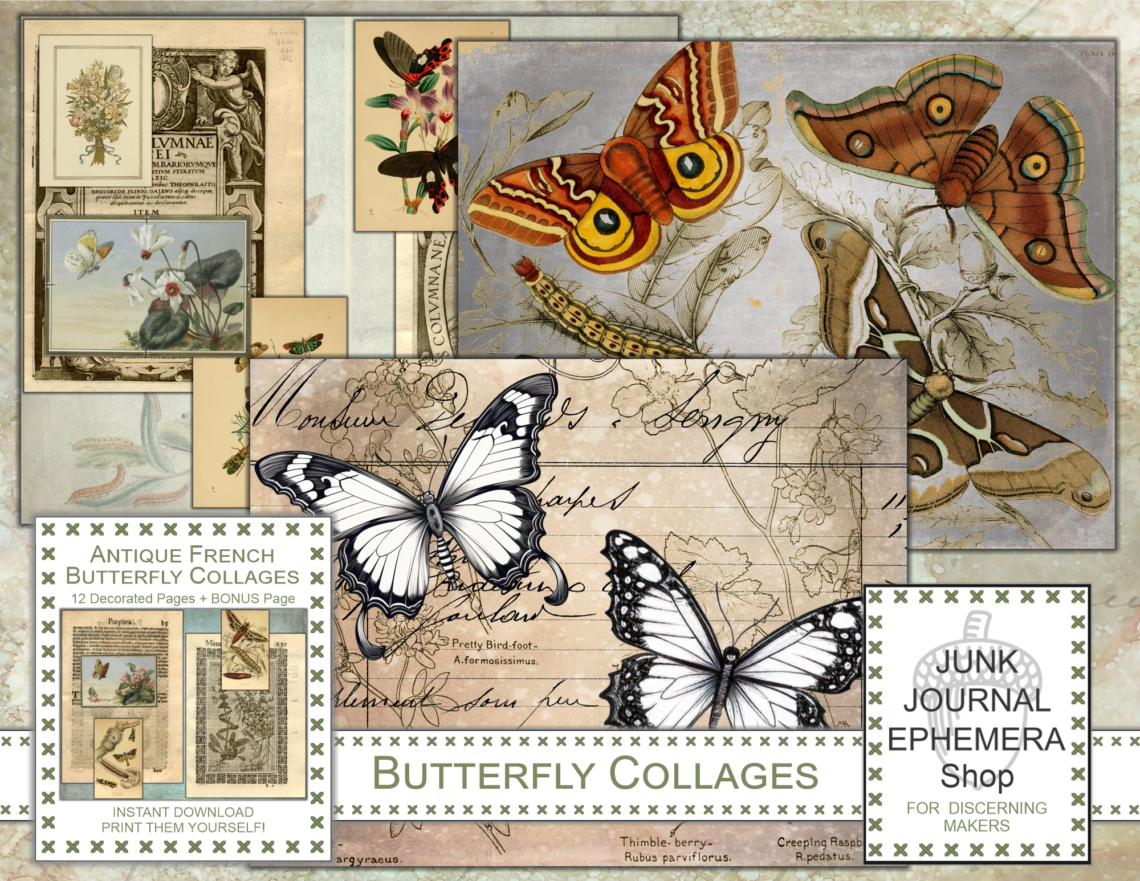 Antique French Butterfly Collages