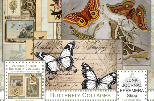 Antique French Butterfly Collages