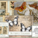 Antique French Butterfly Collages