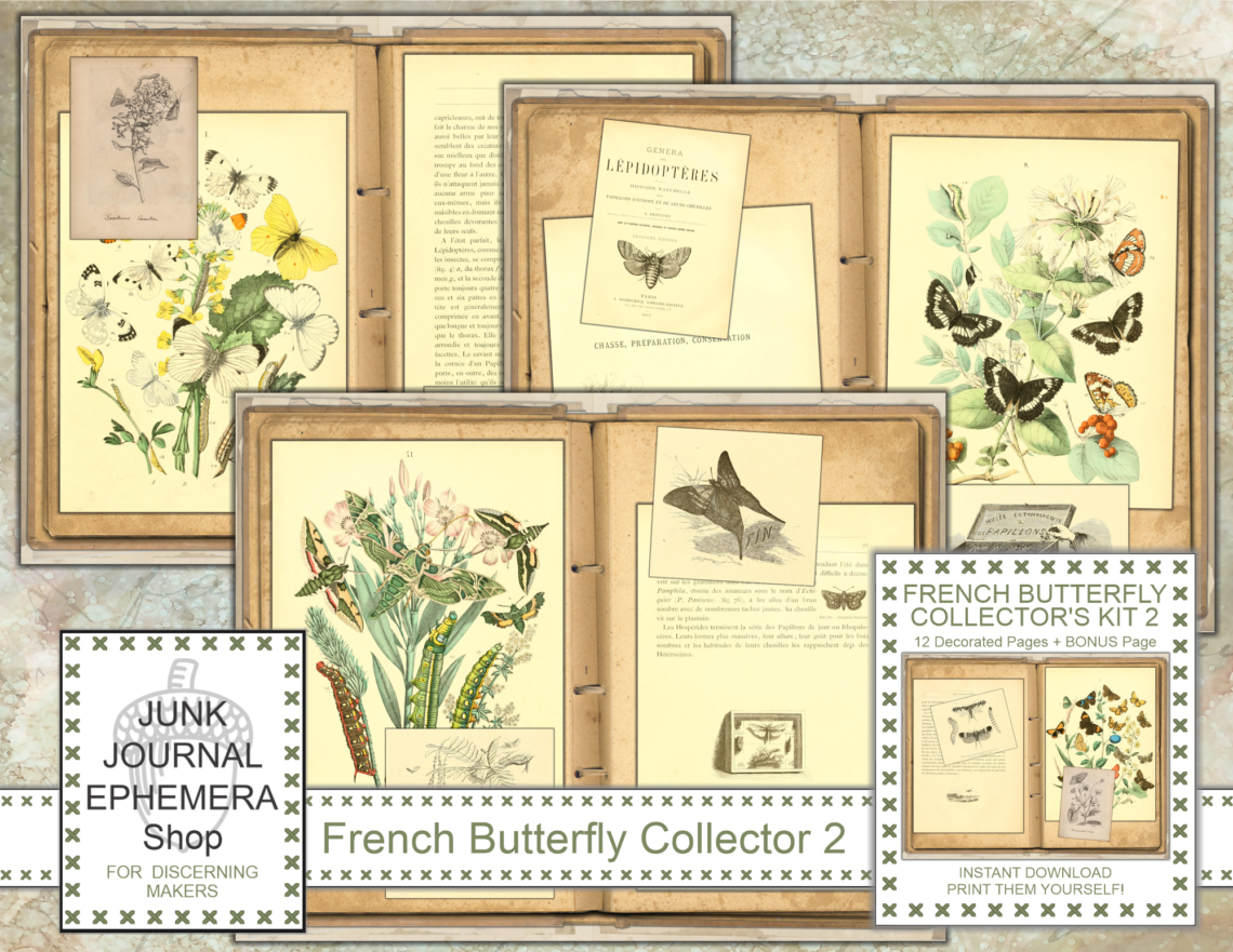 Antique French Butterfly Collector 2 Junk Journal Kit