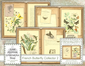 Antique French Butterfly Collector 2 Junk Journal Kit