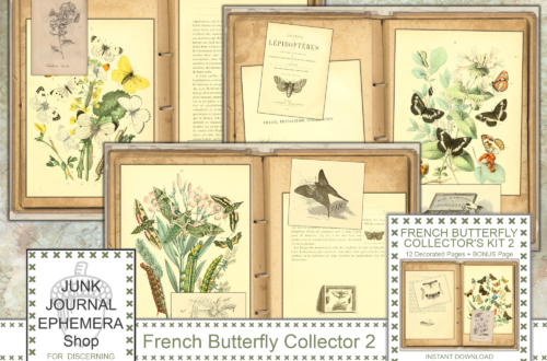 Antique French Butterfly Collector 2 Junk Journal Kit