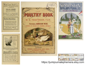 Vintage Chicken Ephemera Printable